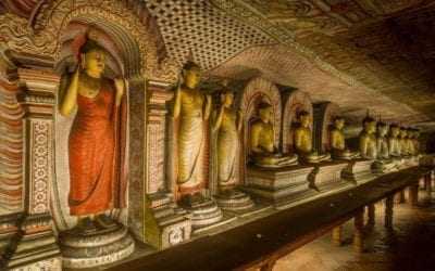 8 Day Group Highlights Tour of Sri Lanka