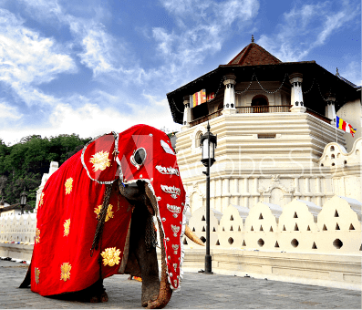 Sri Lankan Festivals and Celebrations