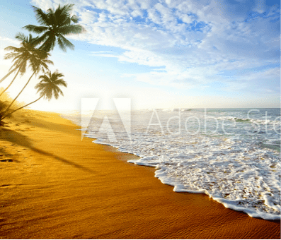 Sri Lanka’s Best Beaches