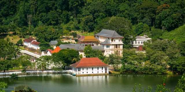 Temple of the Tooth tour in Kandy - Unique Travel