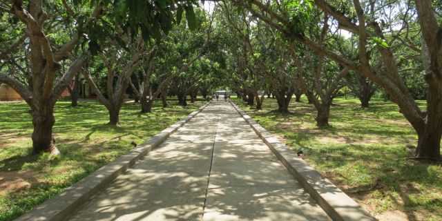 Thilanka Resort And Spa, Dambulla