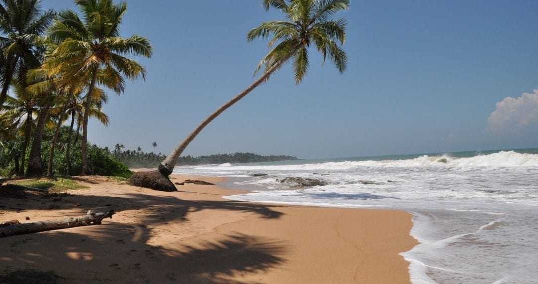 15 Day Group Family Holiday in Sri Lanka