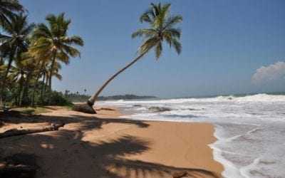 Best month to visit Sri Lanka