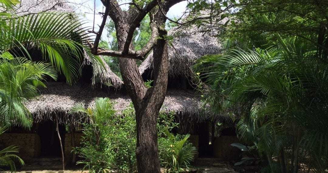 Kumbura Ecolodge, Sigiriya