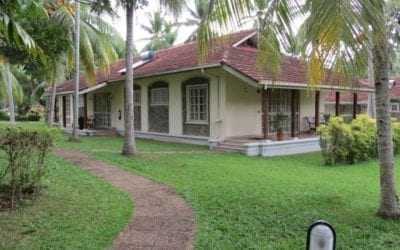 The Tamarind Tree, Katunayake