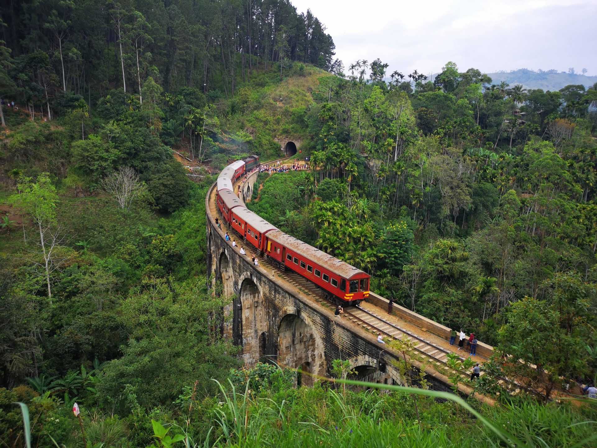 Train ride from Pattipola through the tea plantations to Ella