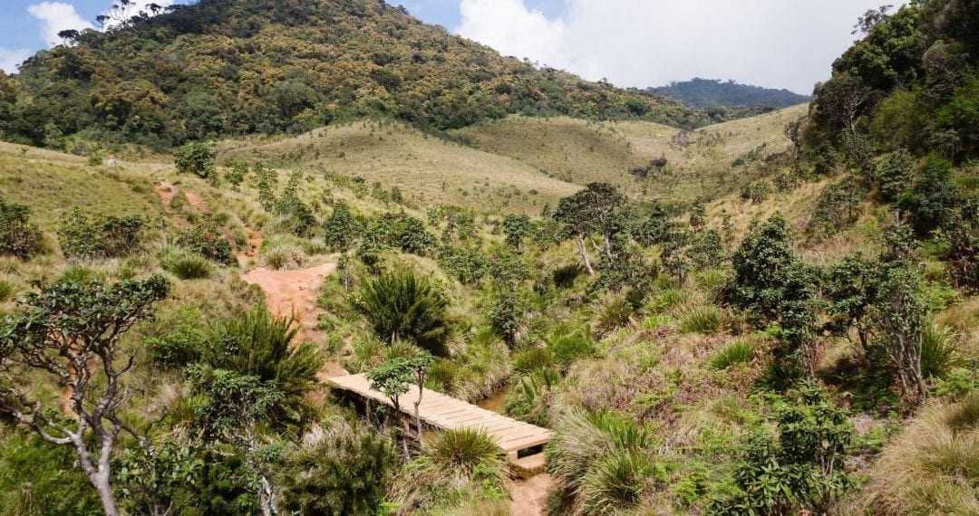 Trekking the Horton Plains in Sri Lanka