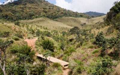 Trekking the Horton Plains in Sri Lanka