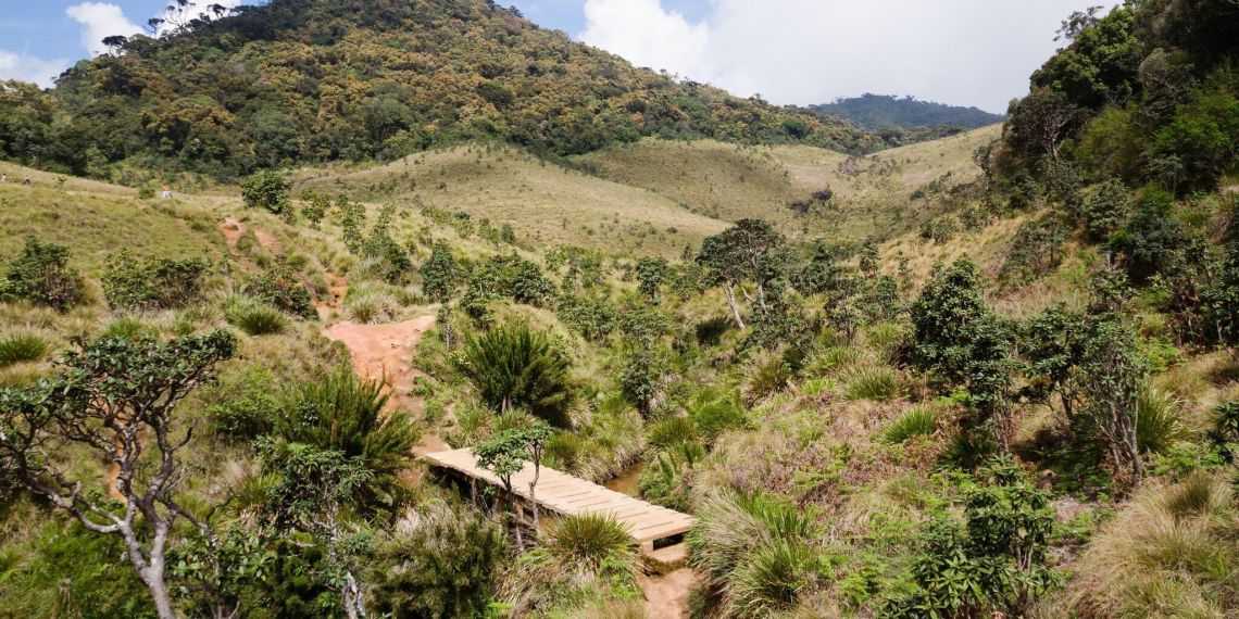 Trekking the Horton Plains in Sri Lanka