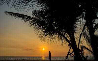 Tailor-made holiday tours in Sri Lanka