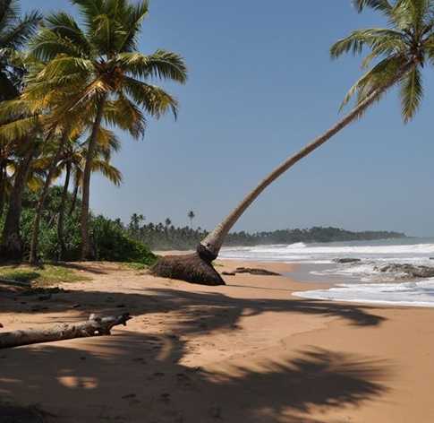 Holidays in Sri Lanka | Travel Sri Lanka | Unique Travel