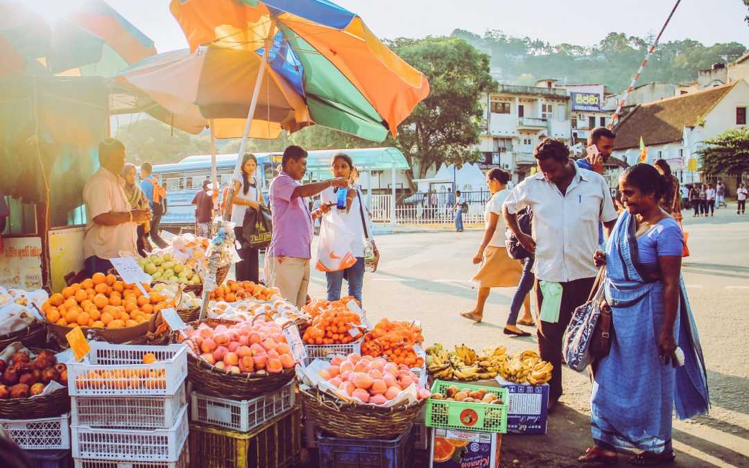 The New Sri Lanka After the Pandemic.