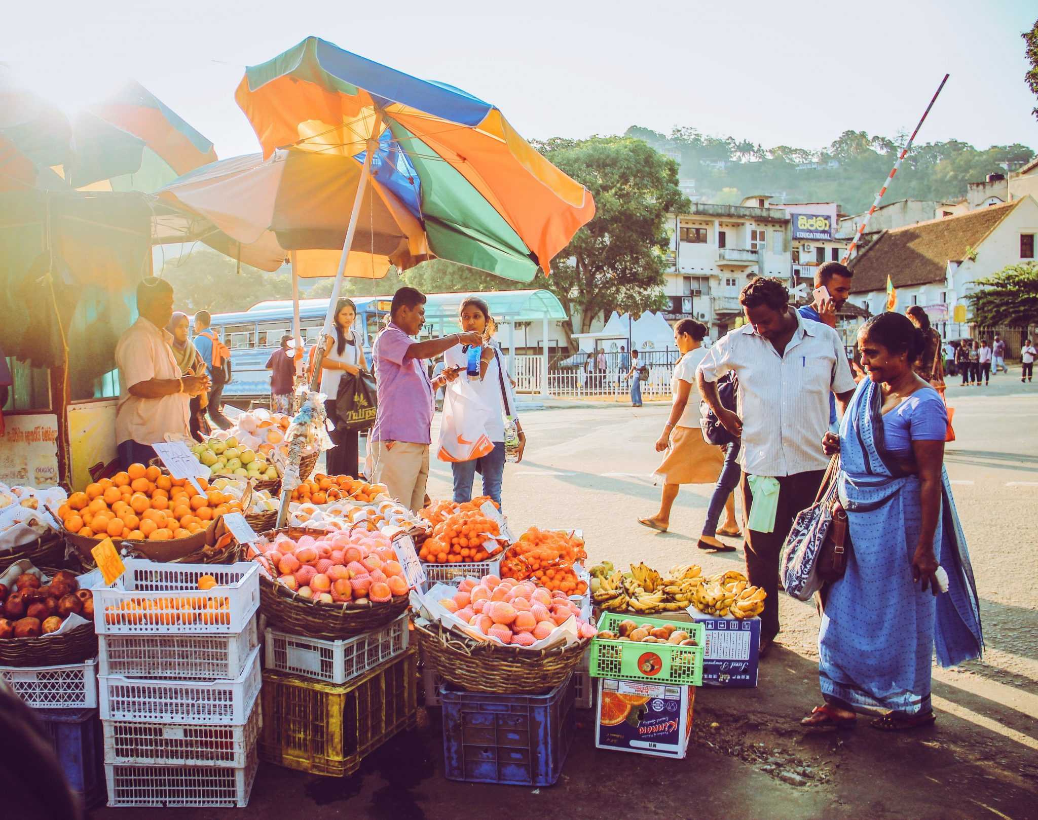 The New Sri Lanka After the Pandemic.