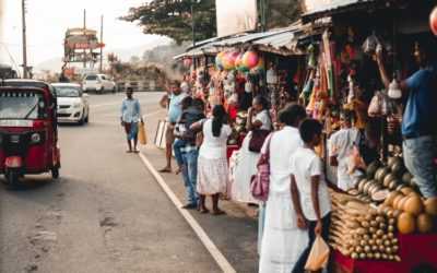 When to Travel to Sri Lanka