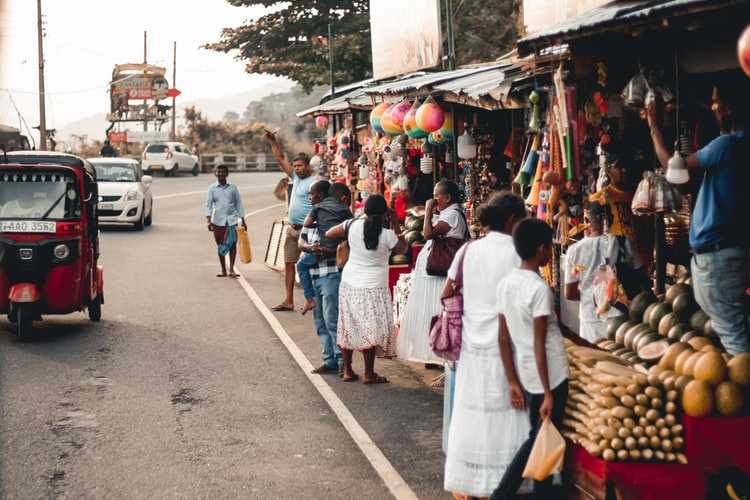 When to Travel to Sri Lanka