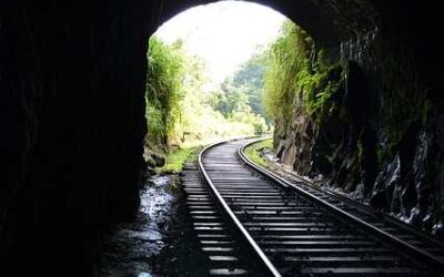 Take a Wonderful Train Journey through Stunning Landscapes