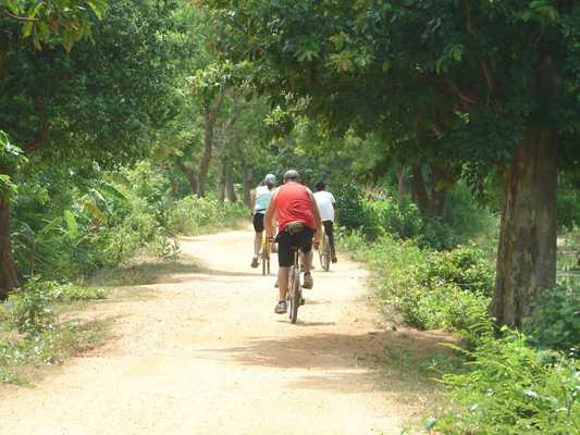 he Unique Travel Company family tour to Sri Lanka Polonnaruwa location images. 