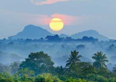 Scenic view of a sunset over the Sri Lankan jungle, featuring dense trees and towering mountains.