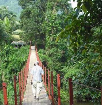 The Unique Travel Company family tour to Sri Lanka Nuwara Eliya images.