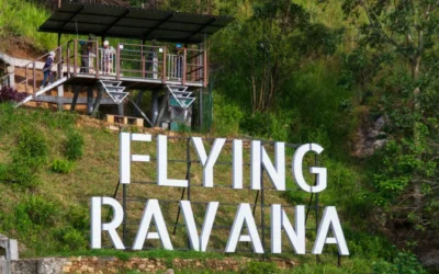 Soaring Over Tea Plantations: Zip Lining in Ella, Sri Lanka