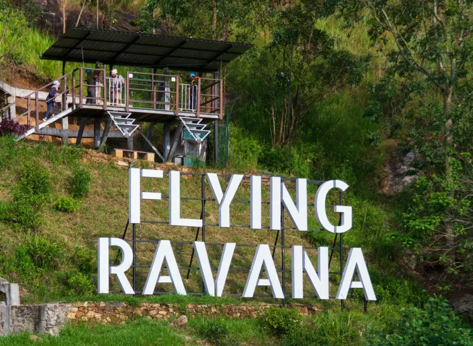 Soaring Over Tea Plantations: Zip Lining in Ella, Sri Lanka