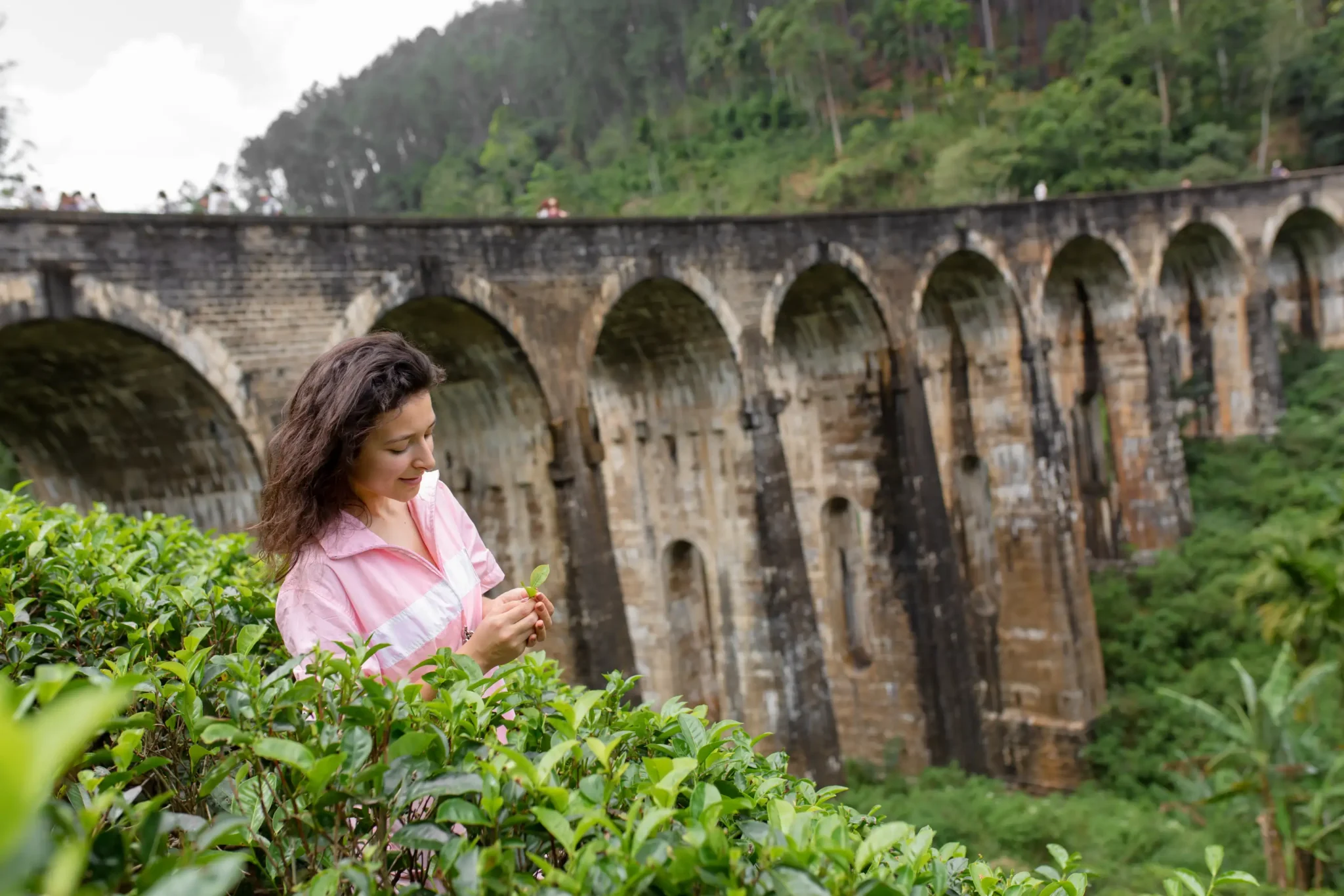 Is Sri Lanka Better Than Bali? Here’s What Travellers Need to Know