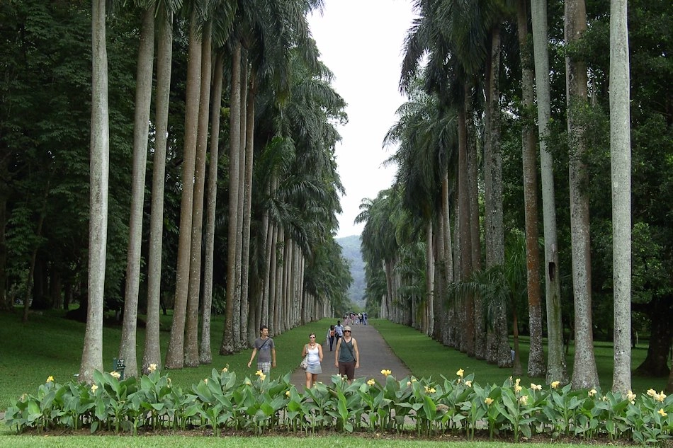 Day trip to the Royal Botanic Gardens in Kandy