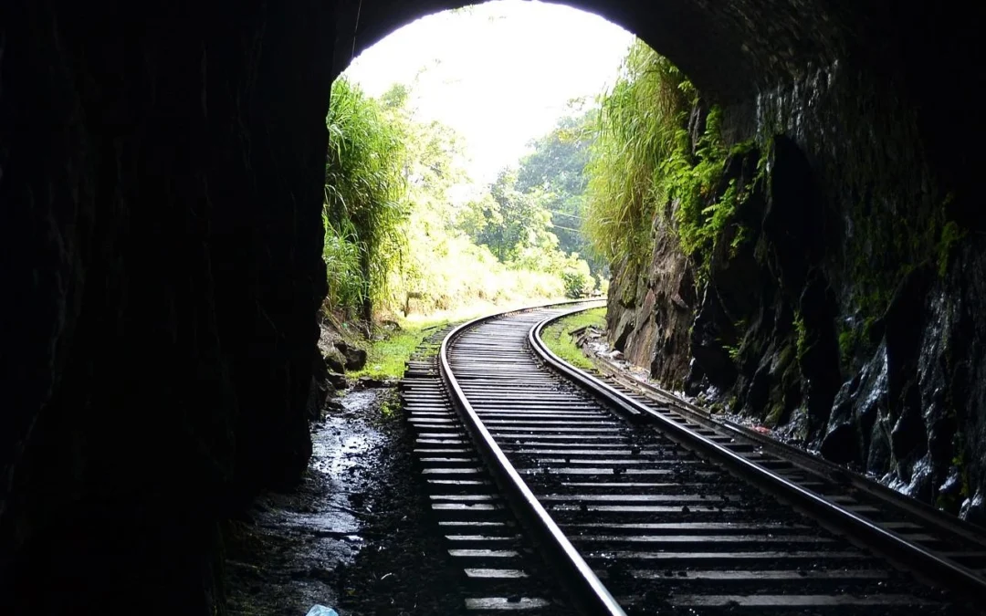 Take a Wonderful Train Journey through Stunning Landscapes